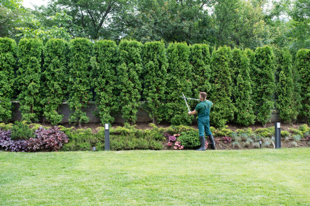 Leaf Removal in Upper Saddle River, NJ